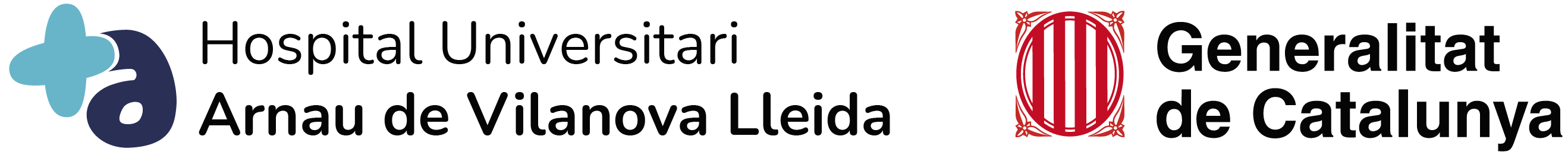 Logo HUAV